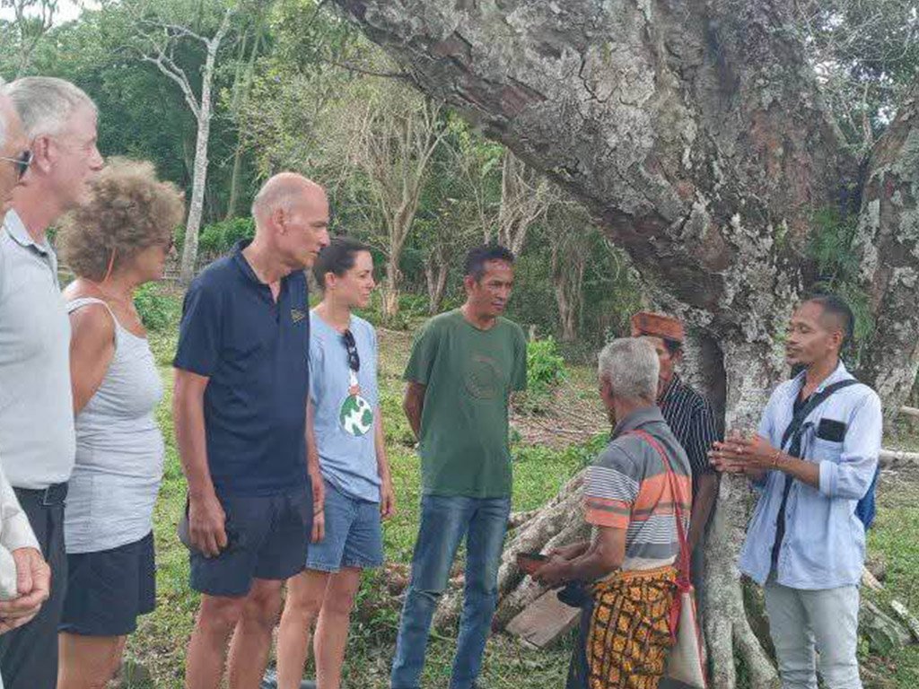 La Banera Flores Tour Gallery 11